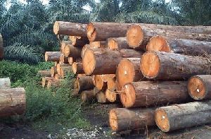 Marandi Wood Logs