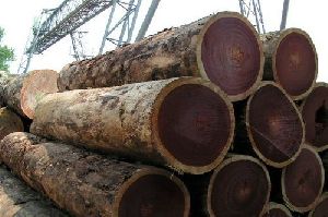 Rosewood Logs