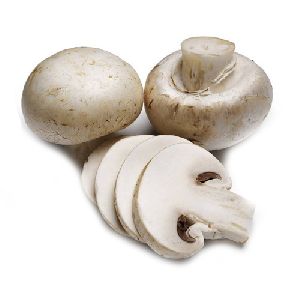 fresh mushroom