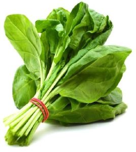 Fresh Spinach Leaves