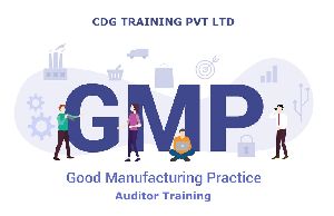 Auditor - Good Manufacturing Practices (GMP)