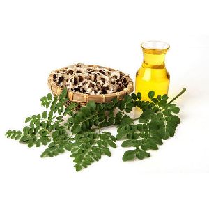 Moringa Carrier Oil