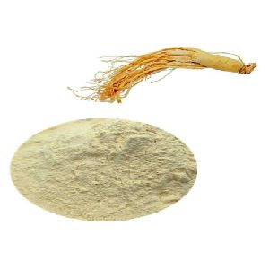 Panax Ginseng Berry Extract