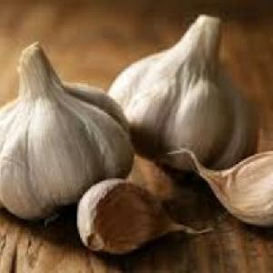 Yamuna Safed-5 (G-189) Garlic