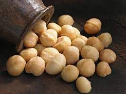 macadamia nut