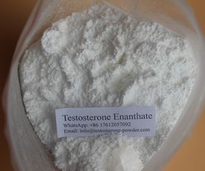 steroid powder