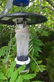 Electric Insect Trap