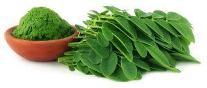 Moringa   Dry   Leaf   Powder