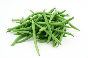 Fresh Spring Beans