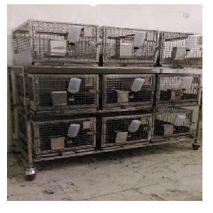 Laboratory Rabbit Cage
