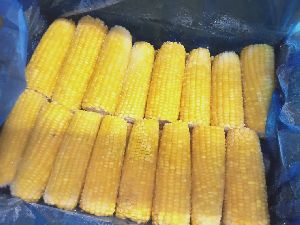 Frozen sweet corn cobs