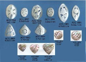 MOP SEA SHELL CONCH BUTTONS BEADS