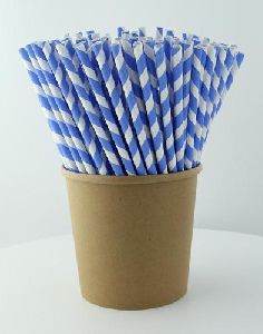 Paper Wrapped Straw