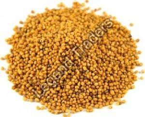 Big Mustard Seeds
