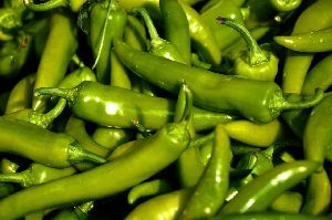 Fresh Green Chili Pepper