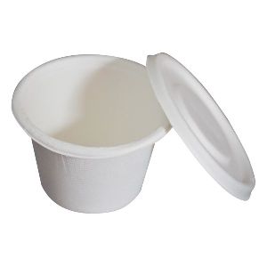 Biodegradable Bagasse 500ml Container with Lid - VARSYA