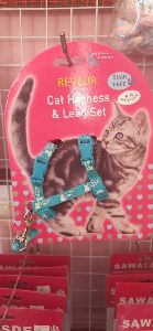 Cat harness with leash