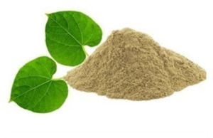 Giloa Guduchi Powdar