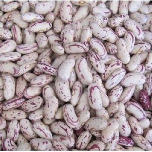 Speckled Kidney Beans