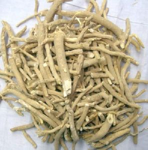 Ashwagandha Extract ( Withania Somnifera)