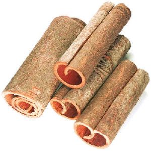Cinnamon Extract (Cinnamomum Cassia)