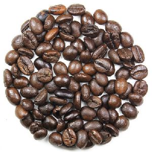Coffee Bean Extract Coffee Robusta