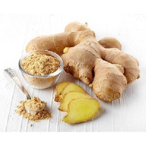 Ginger extract (Zingiber Officinale)