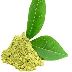 Green Tea Extract  (Camellia Sinensis)