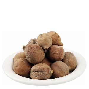 Terminalia Bellerica Fruit Extract