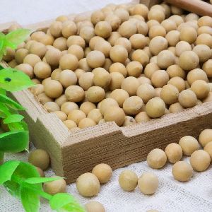 Rich in high quality protein and calcium Organic soy beans non-gmo yellow soybean