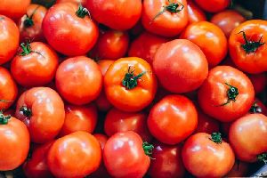 Arka Saurabh Tomato