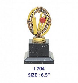 Cricket Trophy (Single Size)