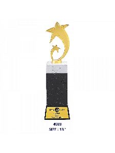 Premium wooden trophy with double metal star (Single Size)