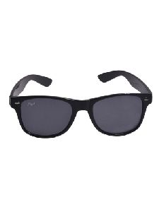 Wayfarer Sunglasses