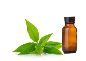 Green Tea CP Stable Fragrance Oil