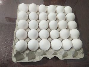 30CAVITY PAPER PULP EGG TRAYS