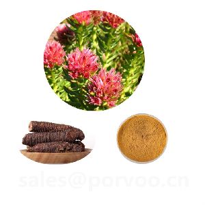 Rhodiola extract,main functions of rhodiola rosea Extractfor Strengthen immune and skin care