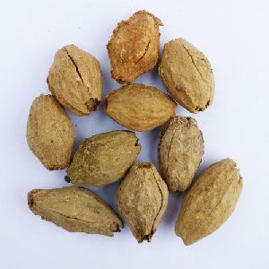 Malabar Neem Seeds