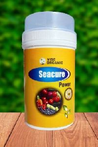 Seacure Power