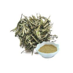 Herbo Nutra White Tea Extract, Packaging Type : Packet