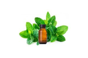 spearmint oil