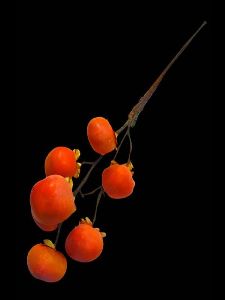 Shari Orange Artificial Flowers