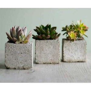 Concrete Plant Pot