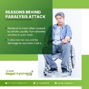 Paralysis Treatment Service