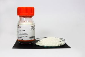 Chitosan Clay Nano Powder