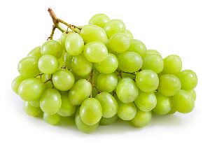 fresh grapes