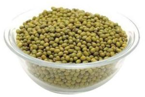 Green Mung Bean