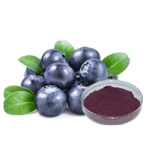 Bilberry Extract