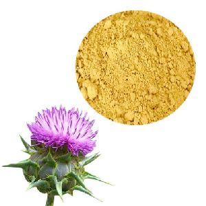 Organic Milk Thistle Extract, For Medicinal, Food Additives, Beauty, Form : Powder