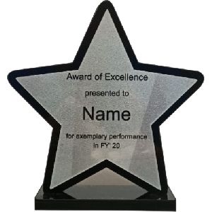 Affordable Star Award Trophy
